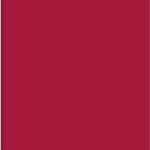 translucida colorida 3 (1)